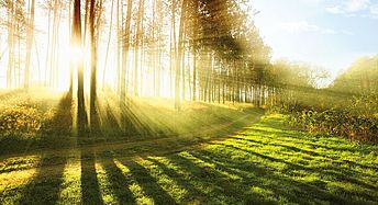 Nachhaltig Umwelt schonen Nachhaltig Umwelt schonen