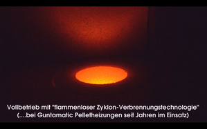 flammenlose Zyklon-Verbrennungstechnologie